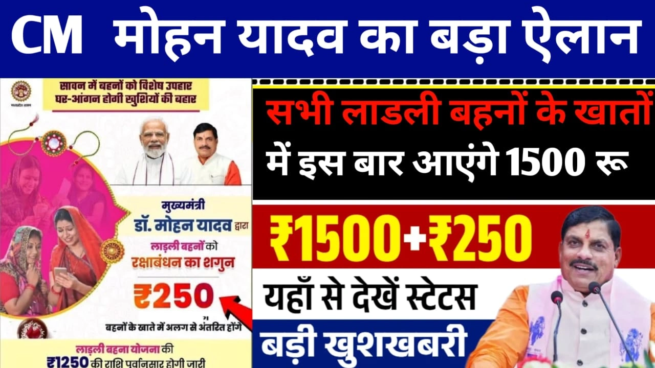 mp news